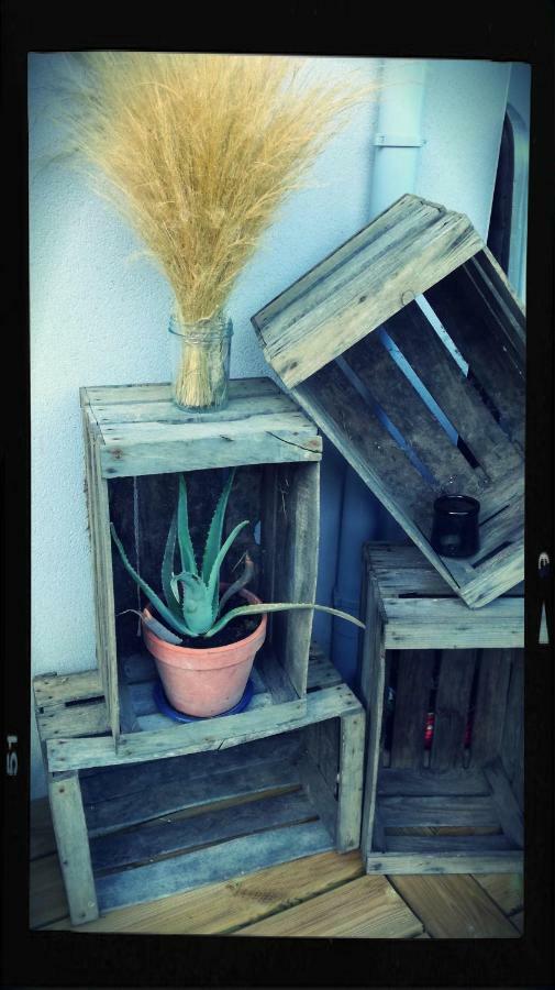 Les Ricochets - Maison D'Hotes Saint-Denis-lès-Martel Dış mekan fotoğraf